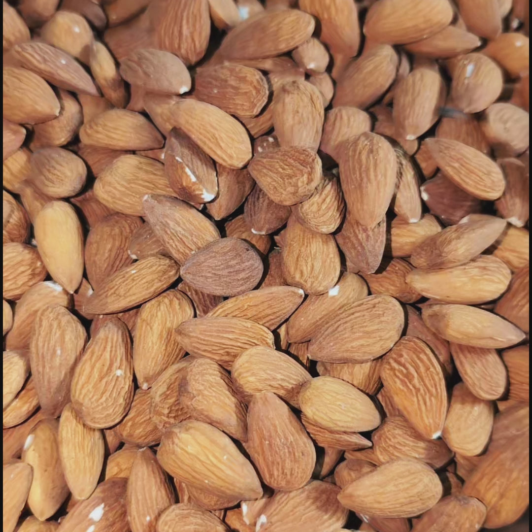 𝐆𝐮𝐫𝐛𝐚𝐧𝐝𝐢 𝐁𝐚𝐝𝐚𝐦 (بادام) 𝐆𝐁 𝐰𝐢𝐭𝐡 𝐬𝐡𝐞𝐥𝐥